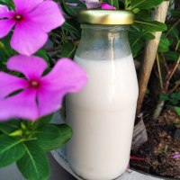 Almond Milk The Dairy-Free Alternatives To Milk